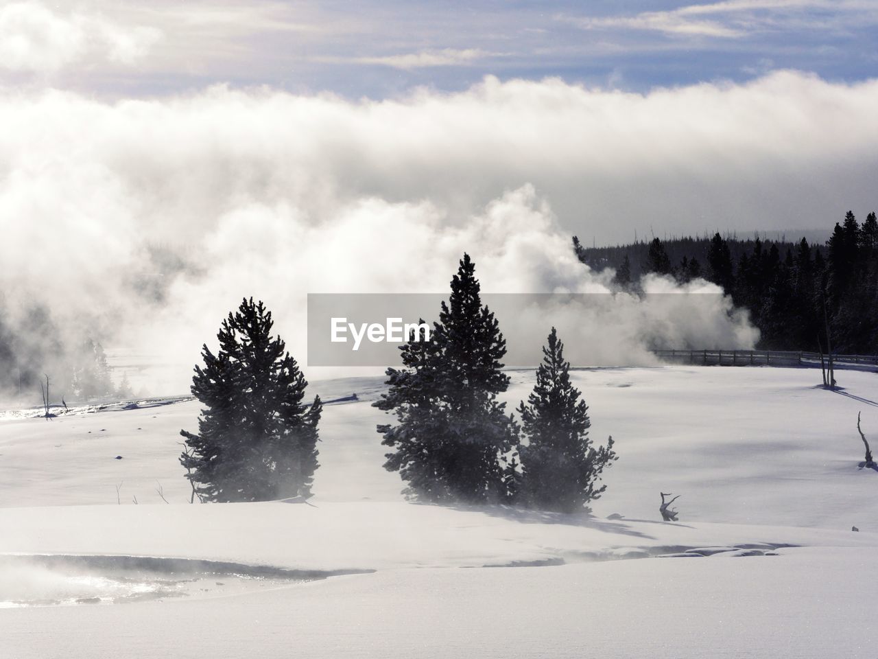 TREES ON SNOWY LANDSCAPE AGAINST SKY