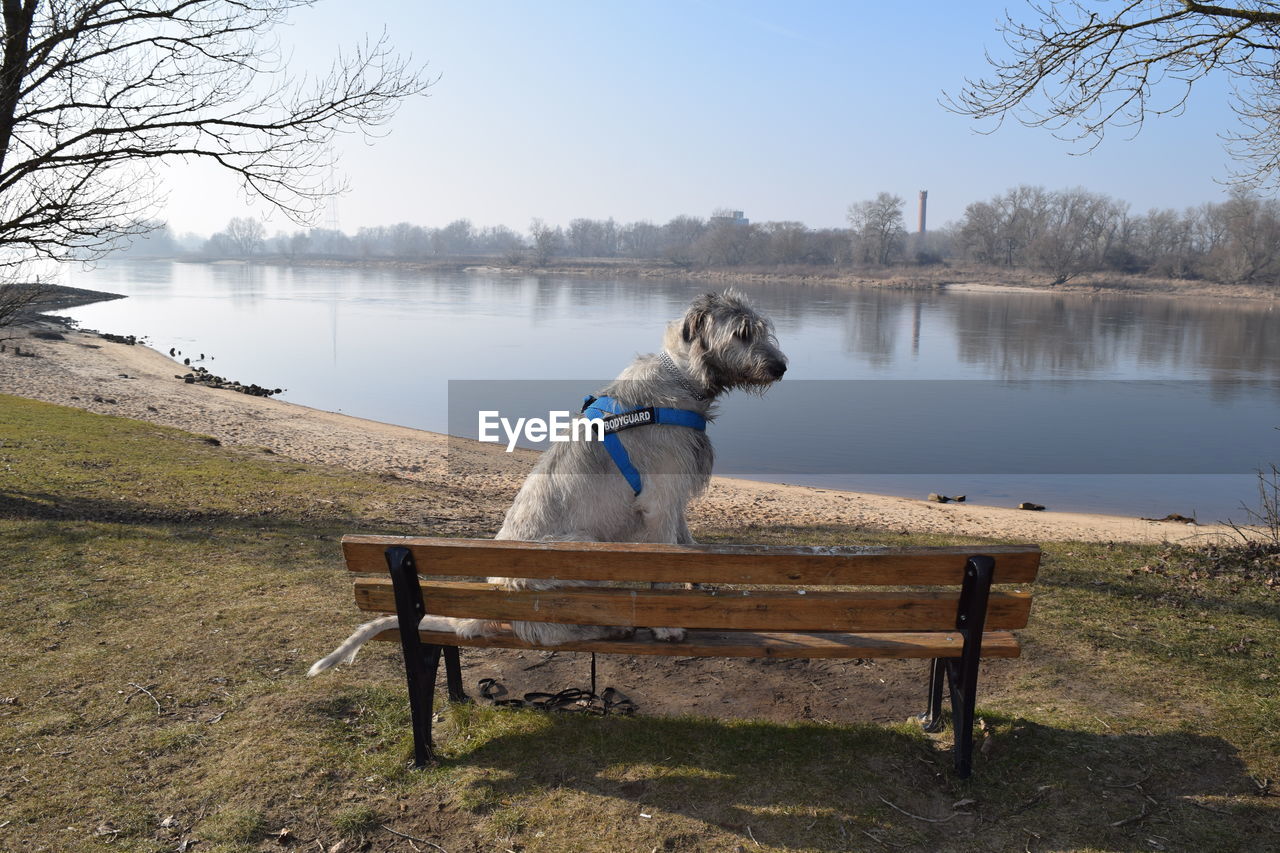 BENCH BY LAKE AGAINST SKY