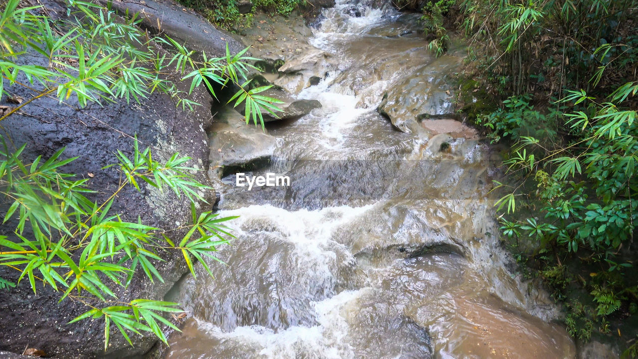 HIGH ANGLE VIEW OF WATER FLOWING THROUGH ROCKS IN FOREST