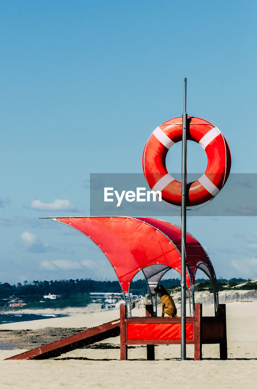 Lifeguard dog by a beach with baywatch float with copy space