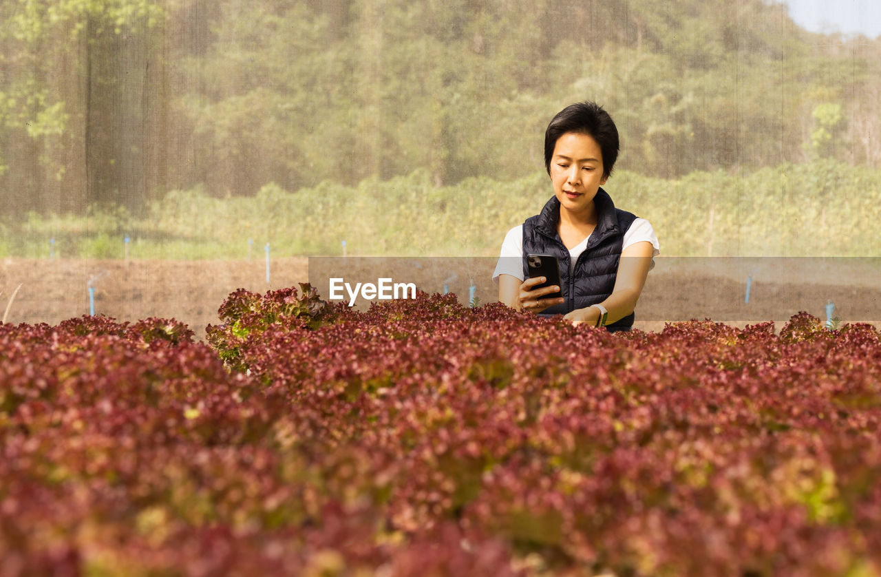Portrait of happy woman farmer standing in organic vegetable farm and using smart phone.