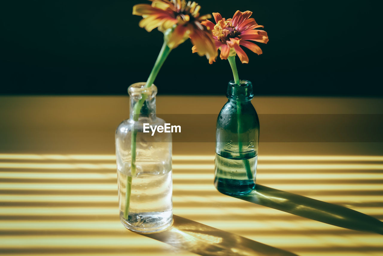 Close-up of flower in glass vase on table