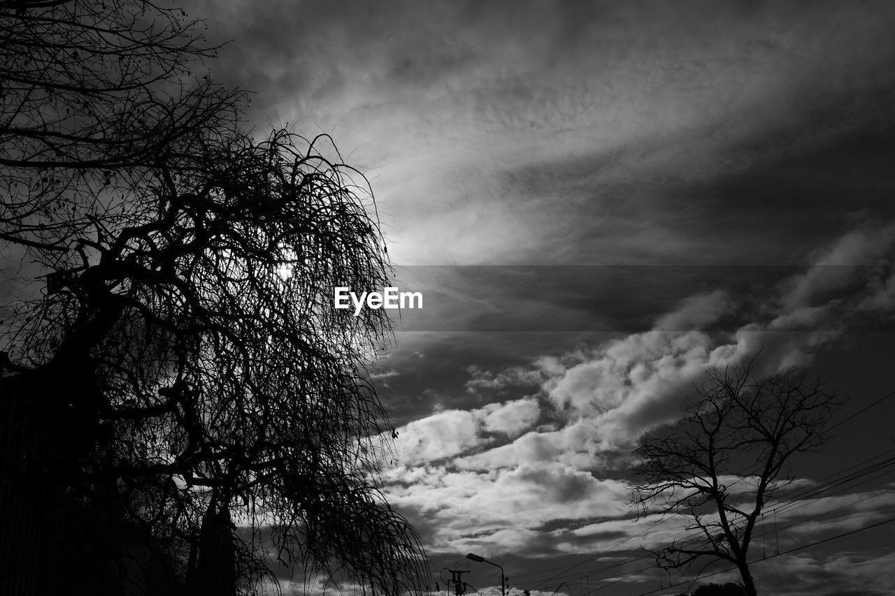 Low angle view of silhouette trees against sky at dusk