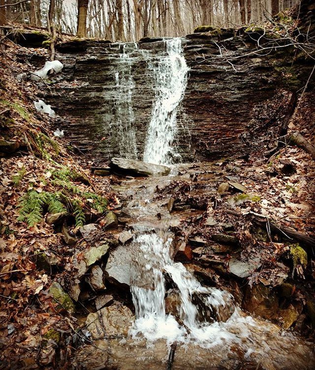 WATERFALL IN FOREST