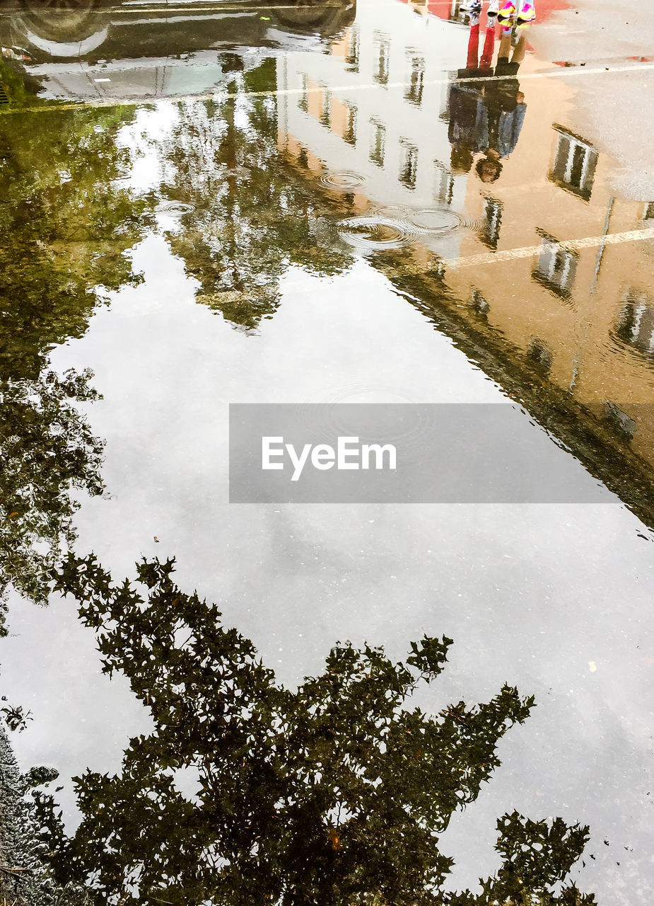 REFLECTION OF TREES AND BUILDINGS IN SWIMMING POOL