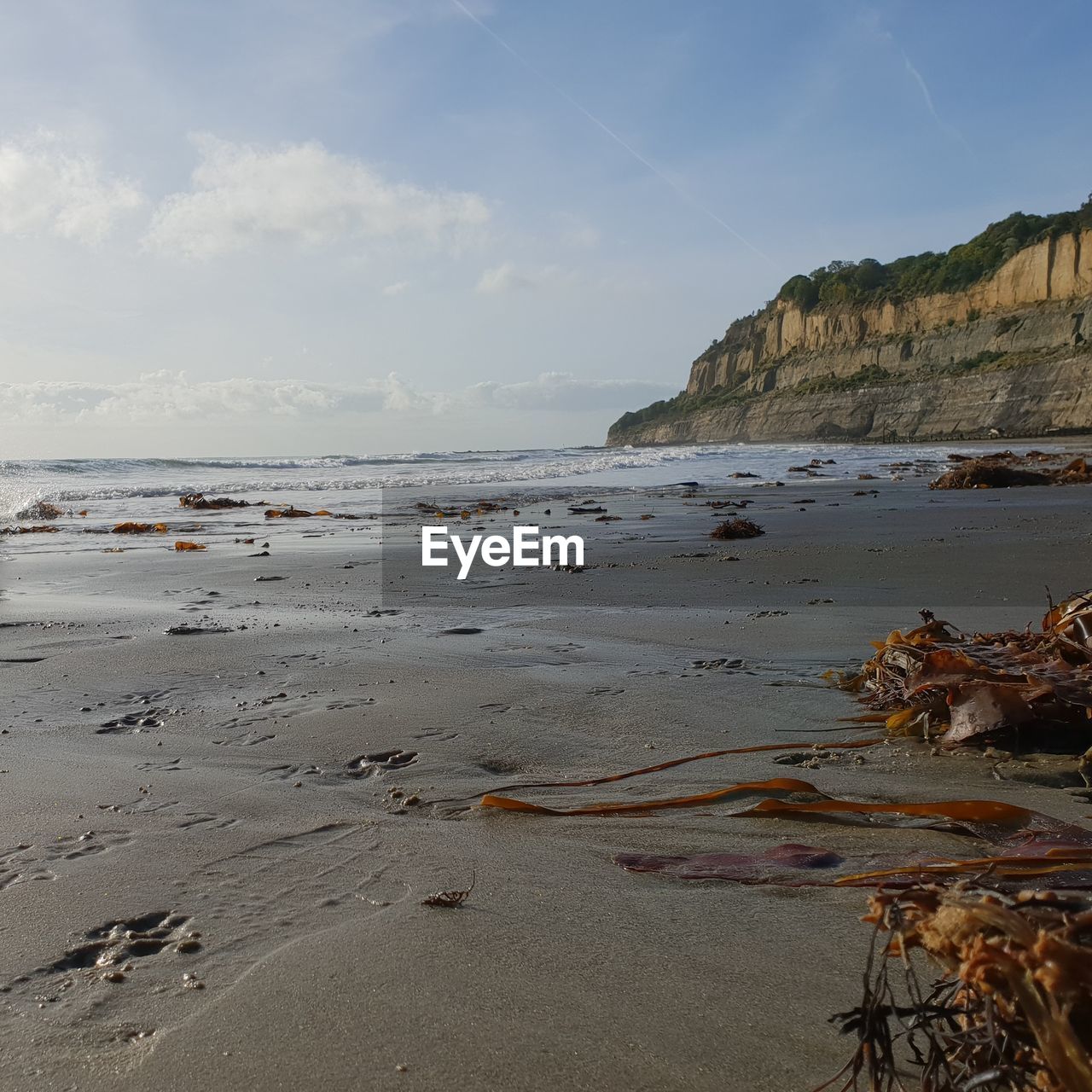 SCENIC VIEW OF BEACH