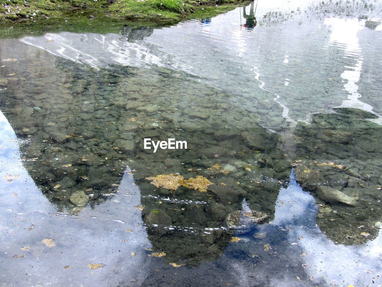 REFLECTION OF TREES IN WATER