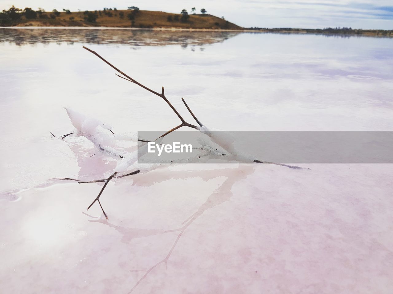 Close-up of lake against sky