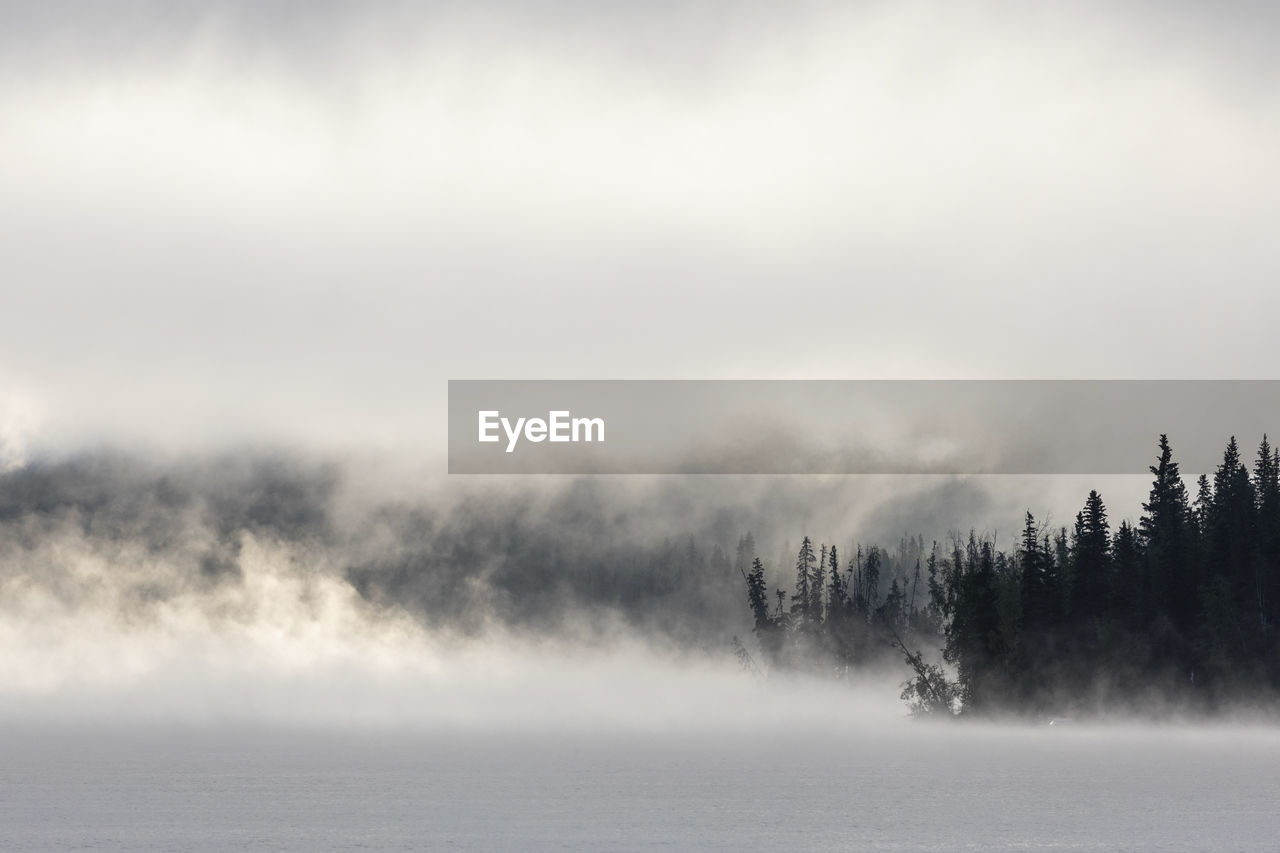 Thick mist floating over calm lake water and trees during sunrise