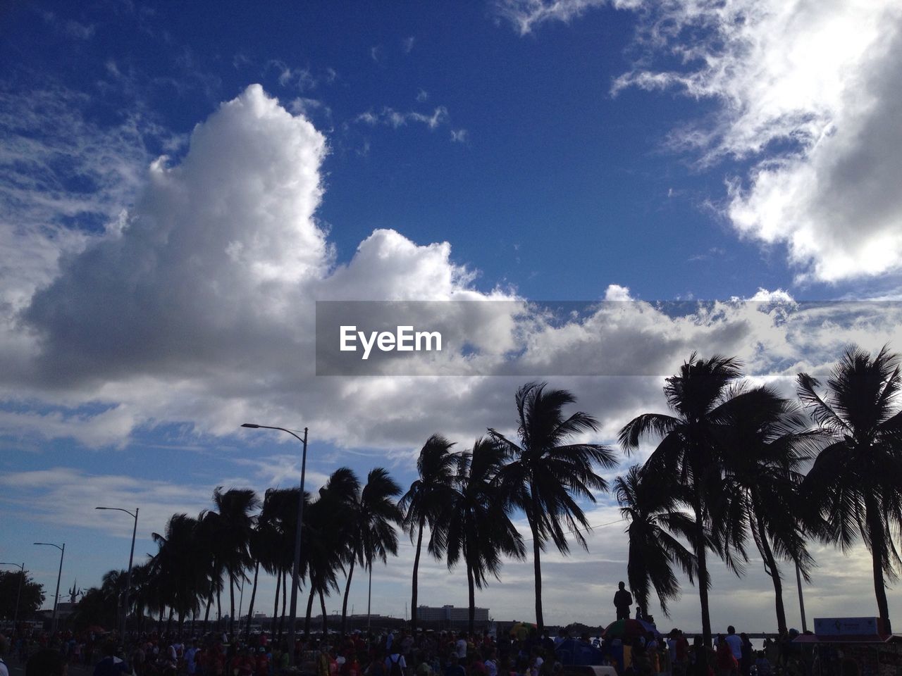 Crowd and palm trees against cloudy sky