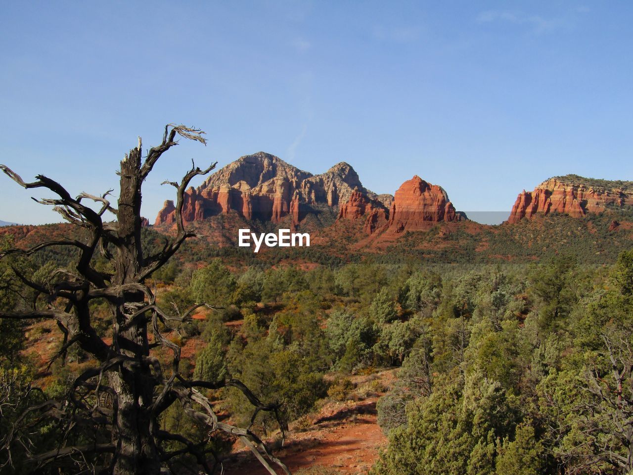 Sedona red rocks hiking trails