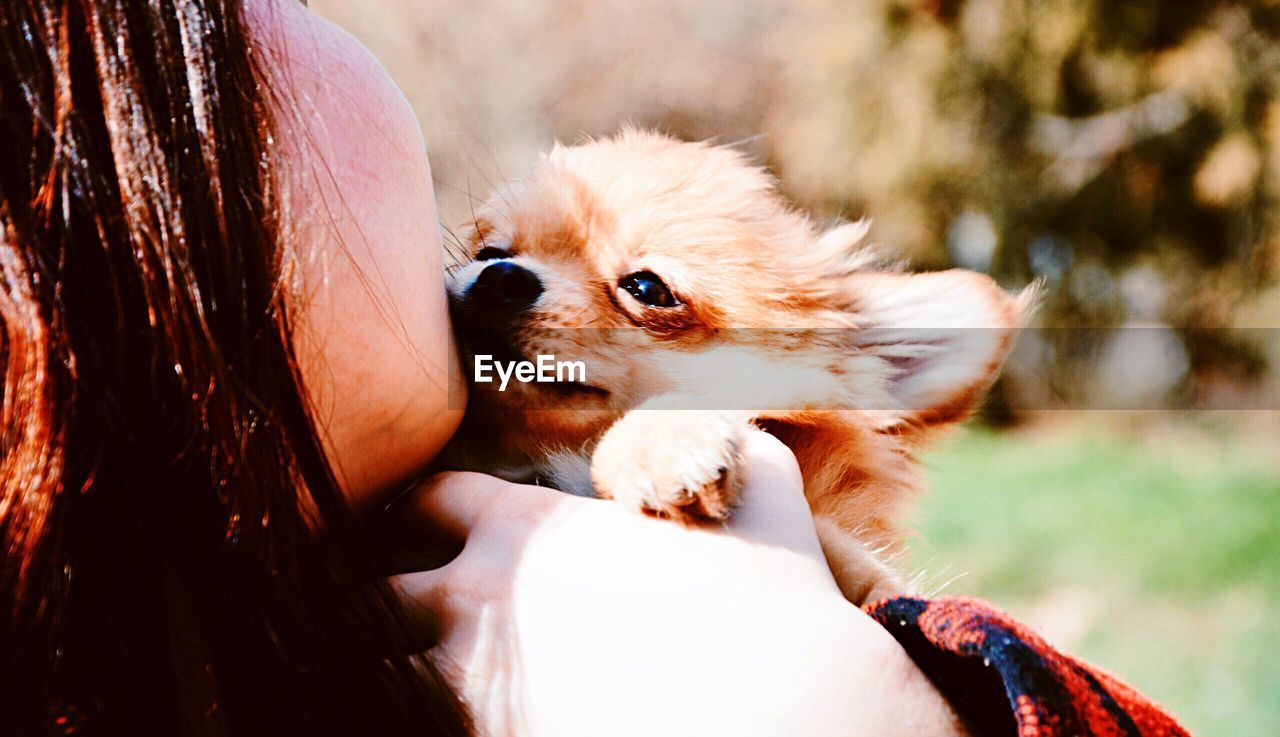 Close-up of woman with chihuahua at park