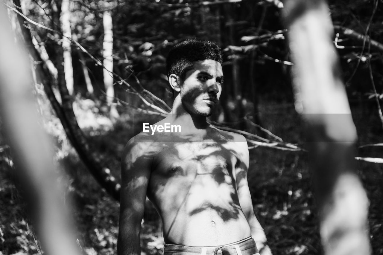 Sunlight falling on shirtless young man standing in forest