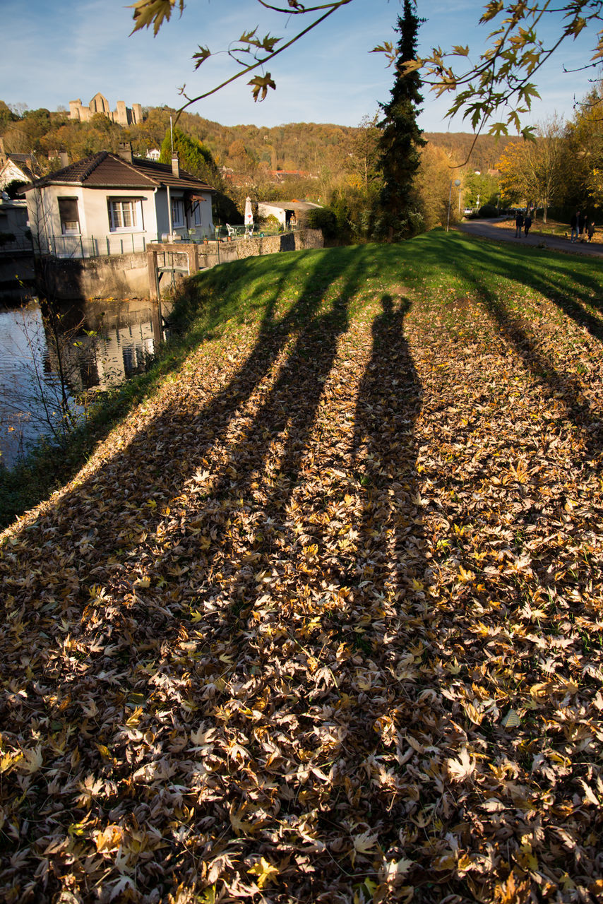Shadow of people on field
