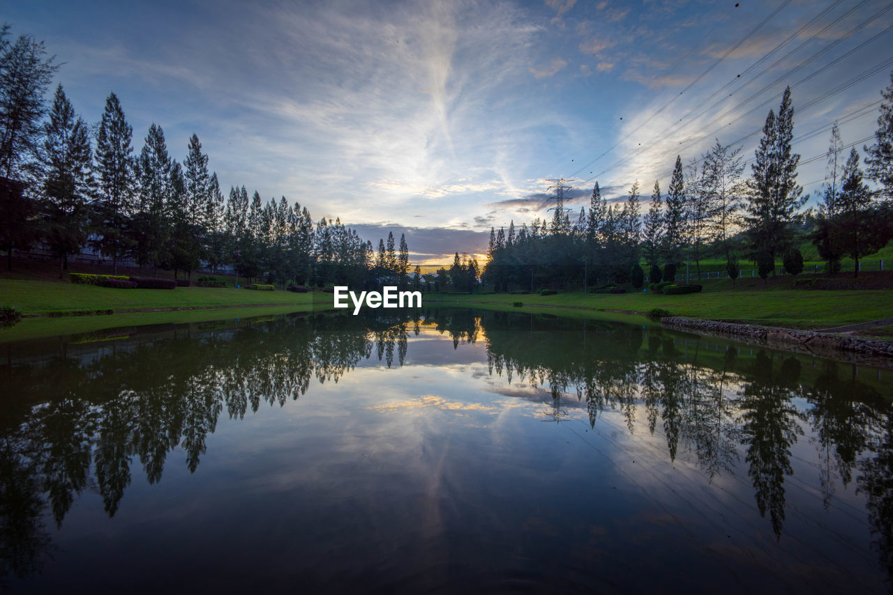 Reflection of trees in water