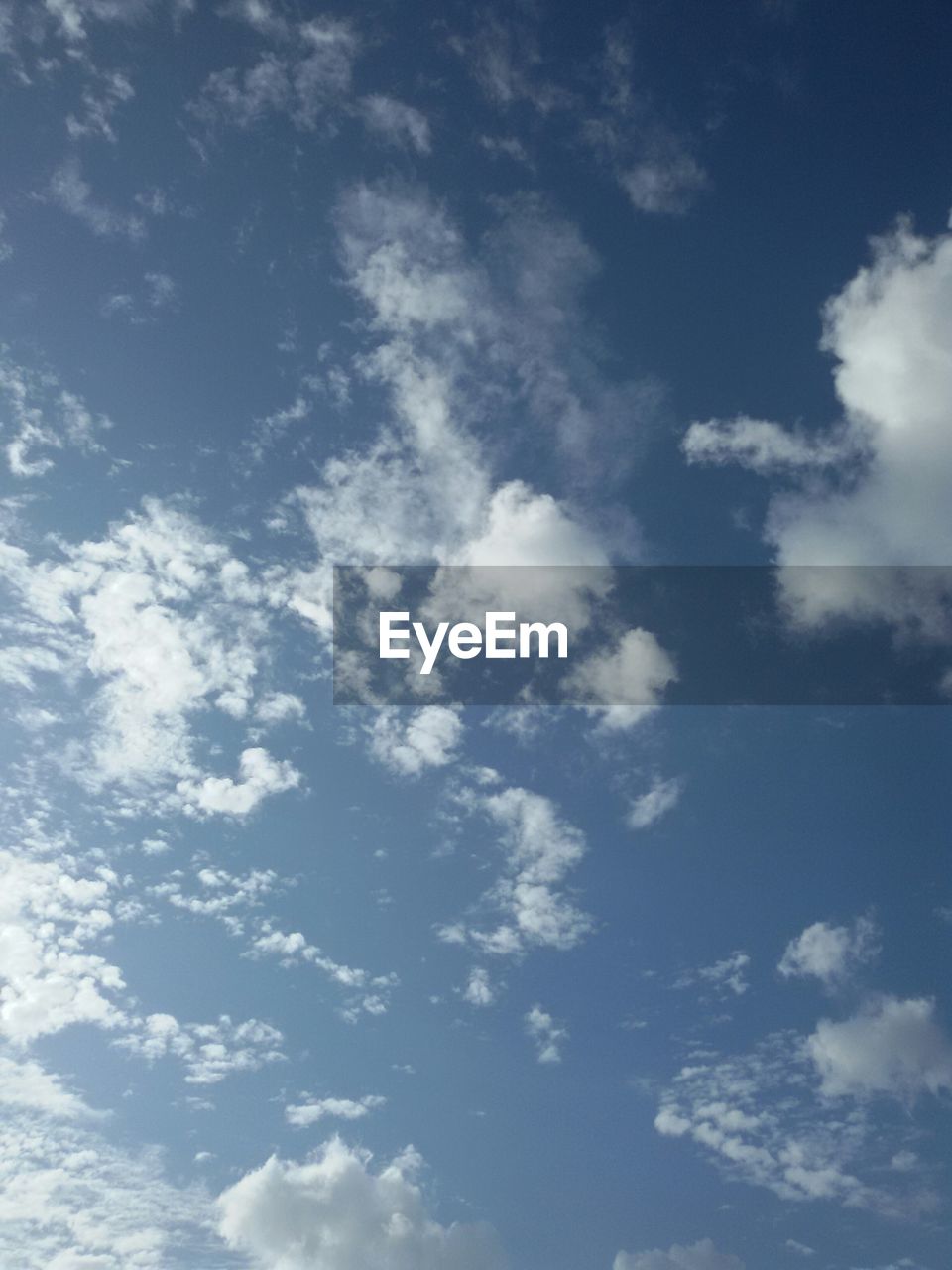 LOW ANGLE VIEW OF TREES AGAINST BLUE SKY