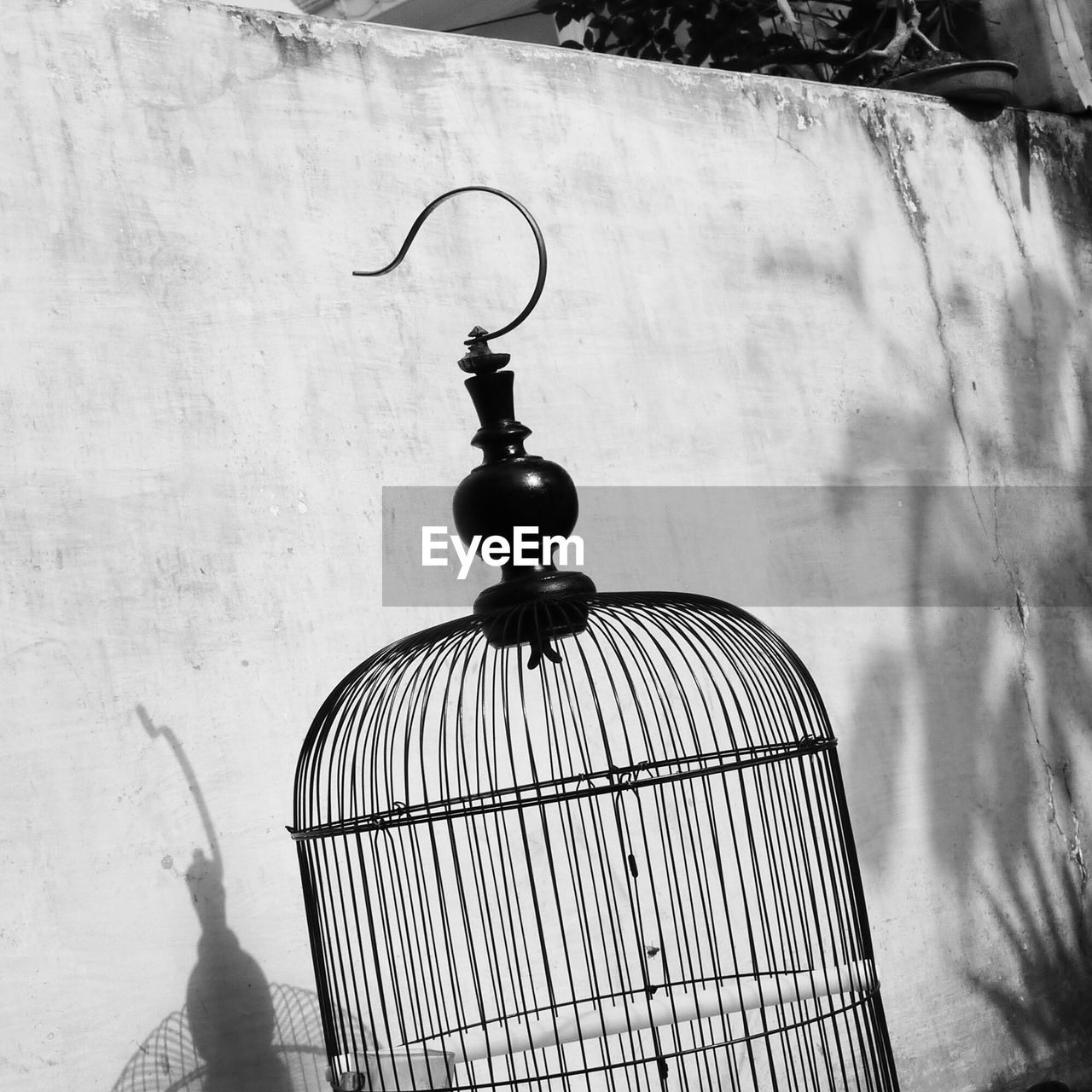 Close-up of birdcage against wall