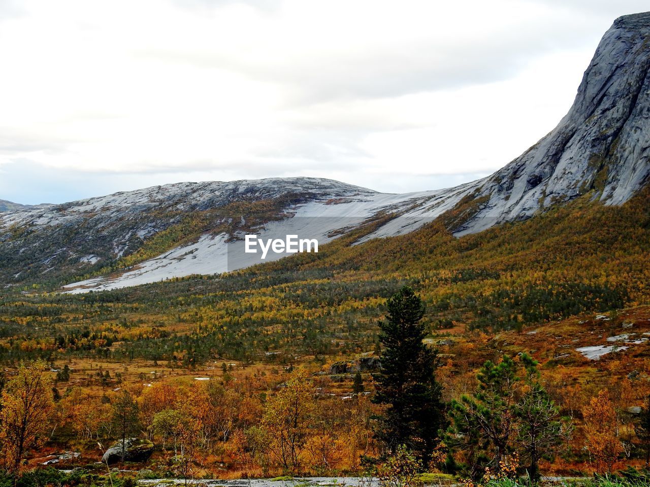 SCENIC VIEW OF MOUNTAIN AGAINST SKY DURING AUTUMN