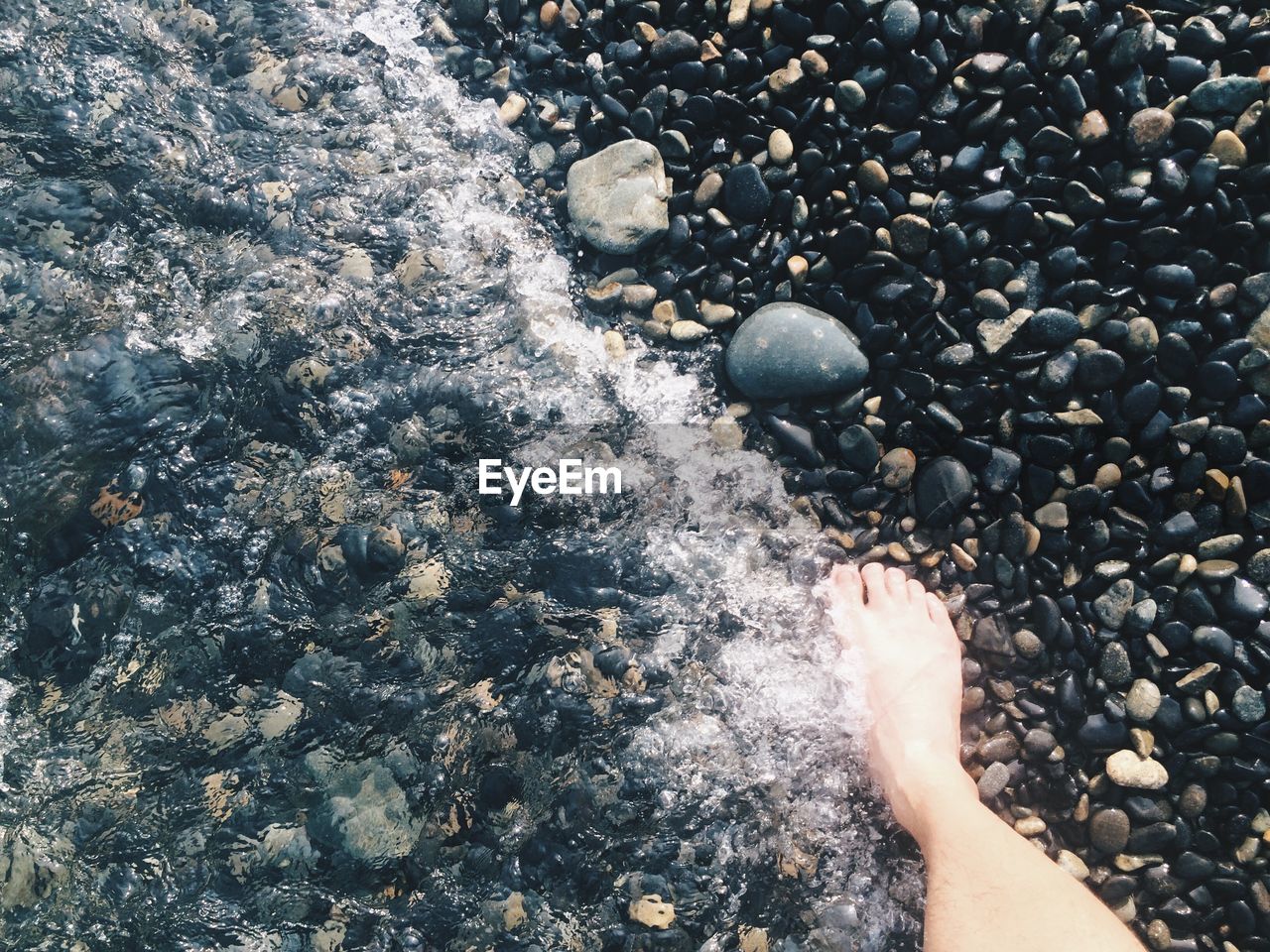 Low section of person standing on beach