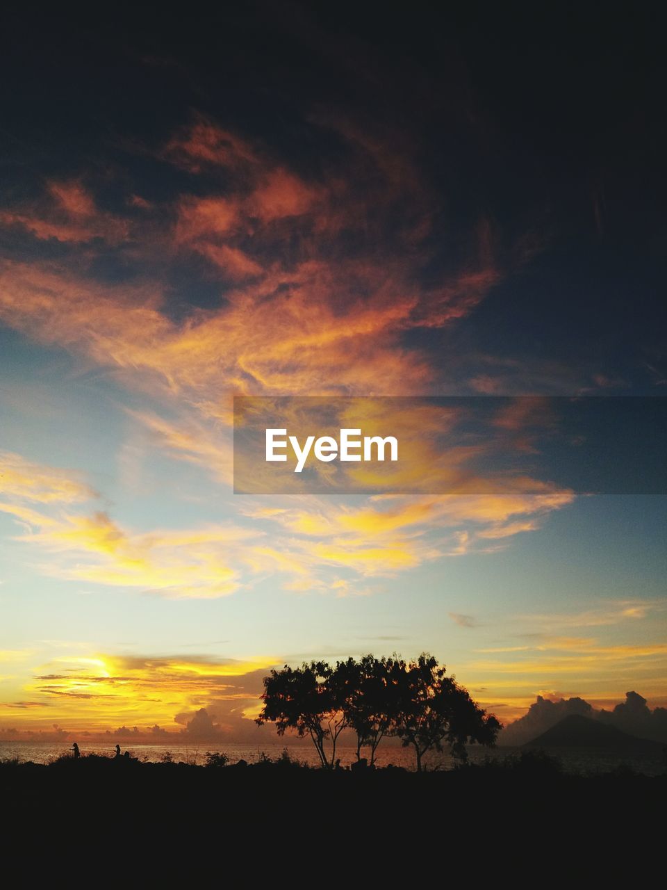 Silhouette trees against sky during sunset