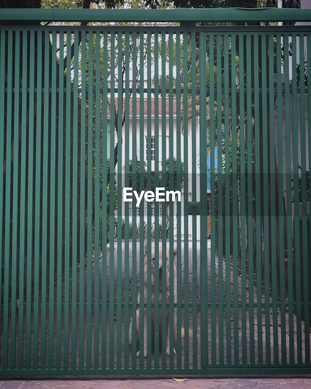 CLOSED METAL GATE AGAINST BUILDING