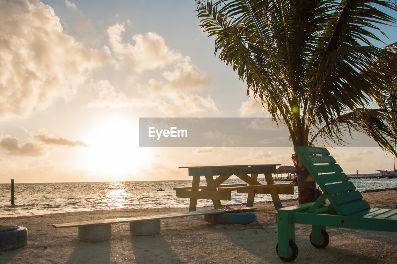 Palm tree on beach by sea against sky during sunset