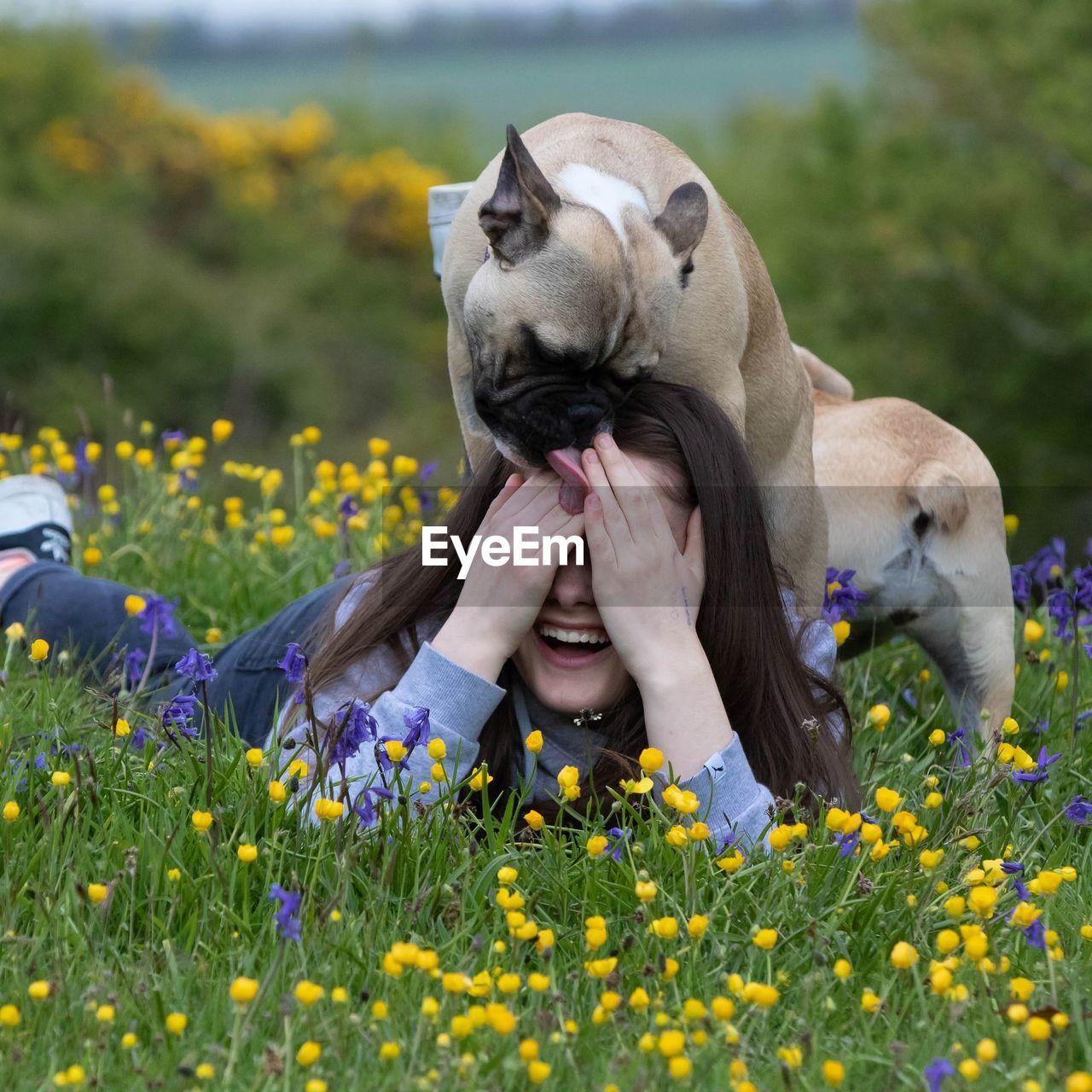 Woman playing with dogs on field