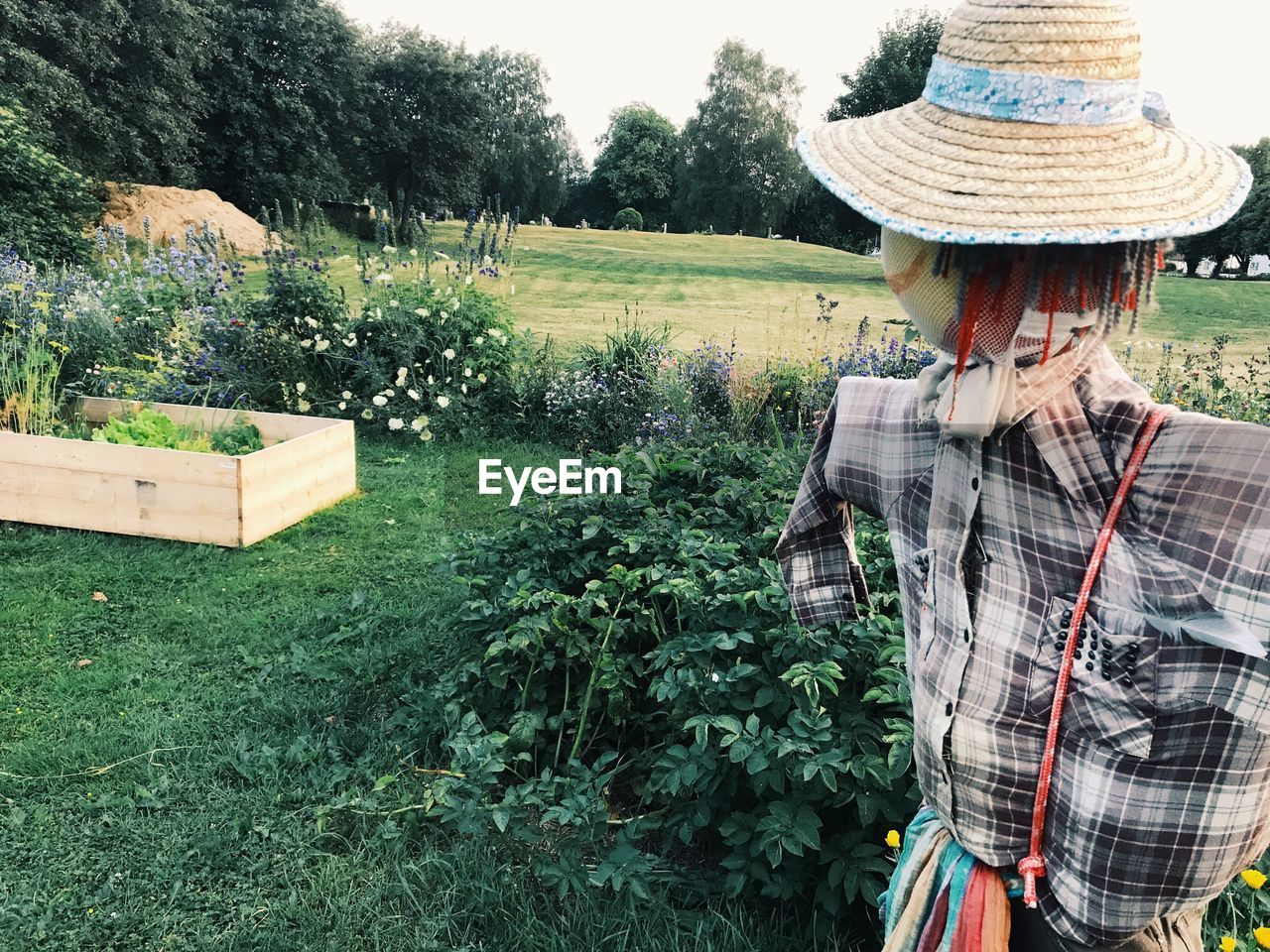 Close-up of scarecrow on field