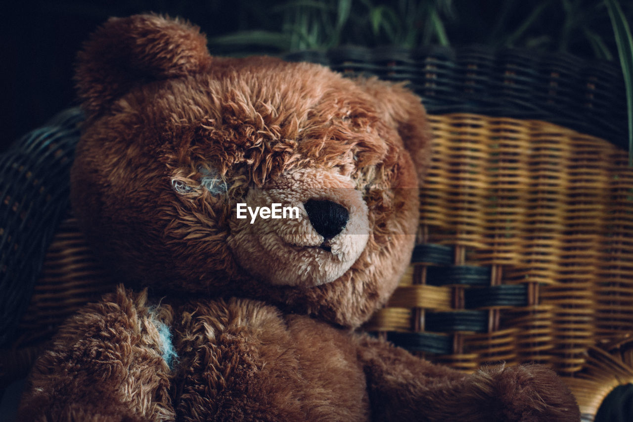 Close-up of abandoned teddy bear on wicker chair