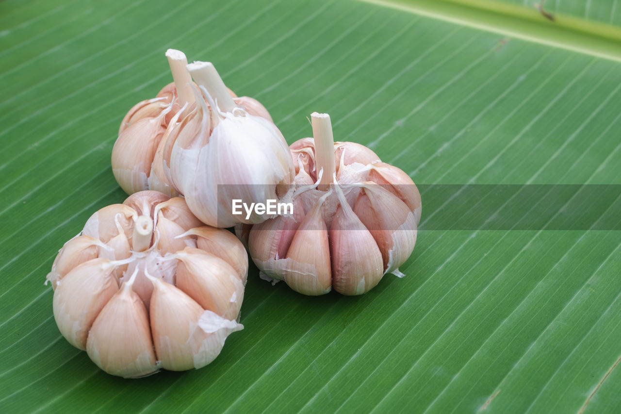 HIGH ANGLE VIEW OF VEGETABLES ON LEAVES