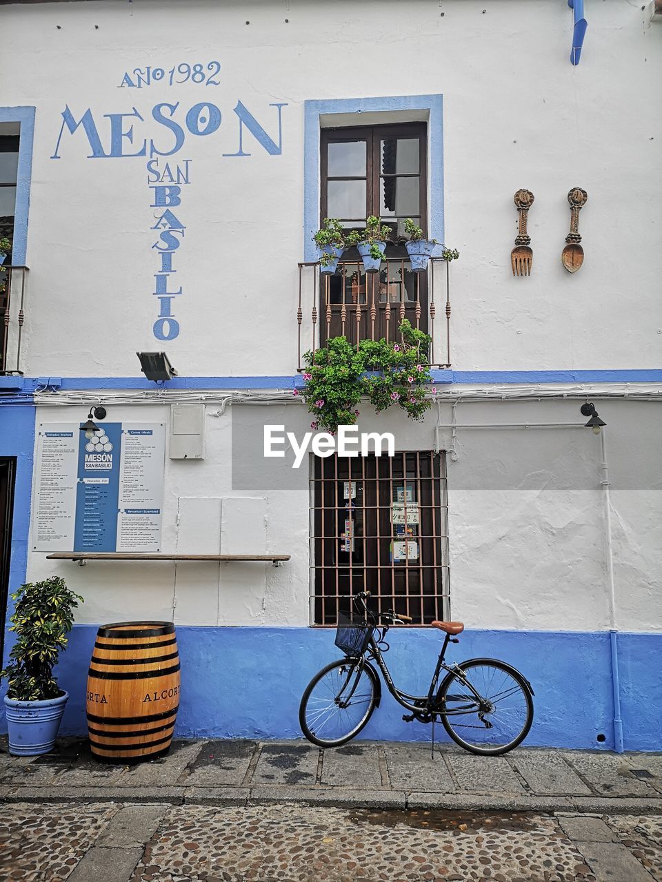 BICYCLE BY POTTED PLANT ON BUILDING