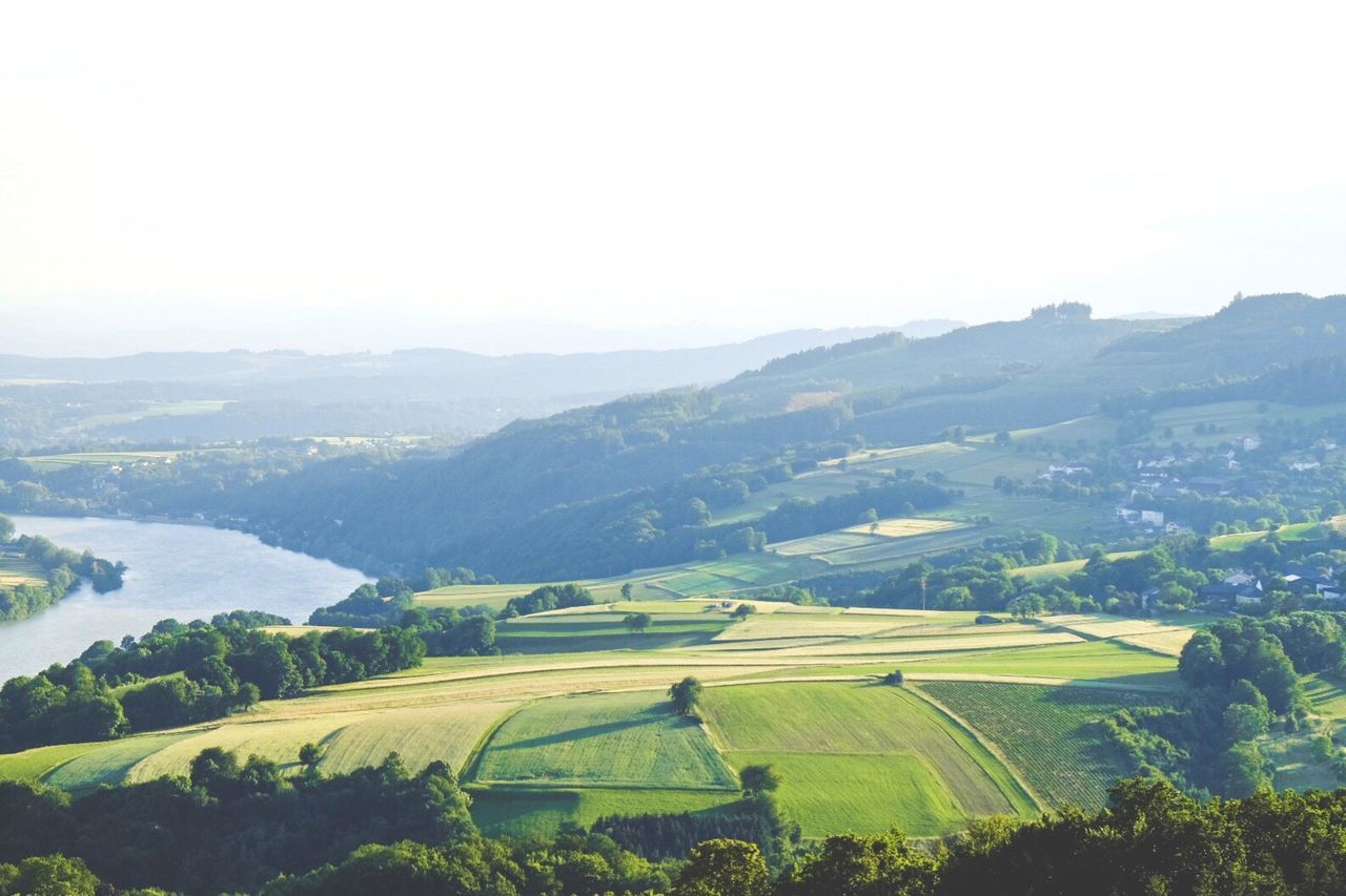 Scenic view of agricultural field against clear sky