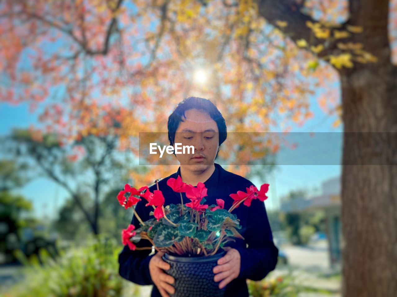 Young asian man holding red flowering cyclamen potted plant against autumn foliage, trees and sky