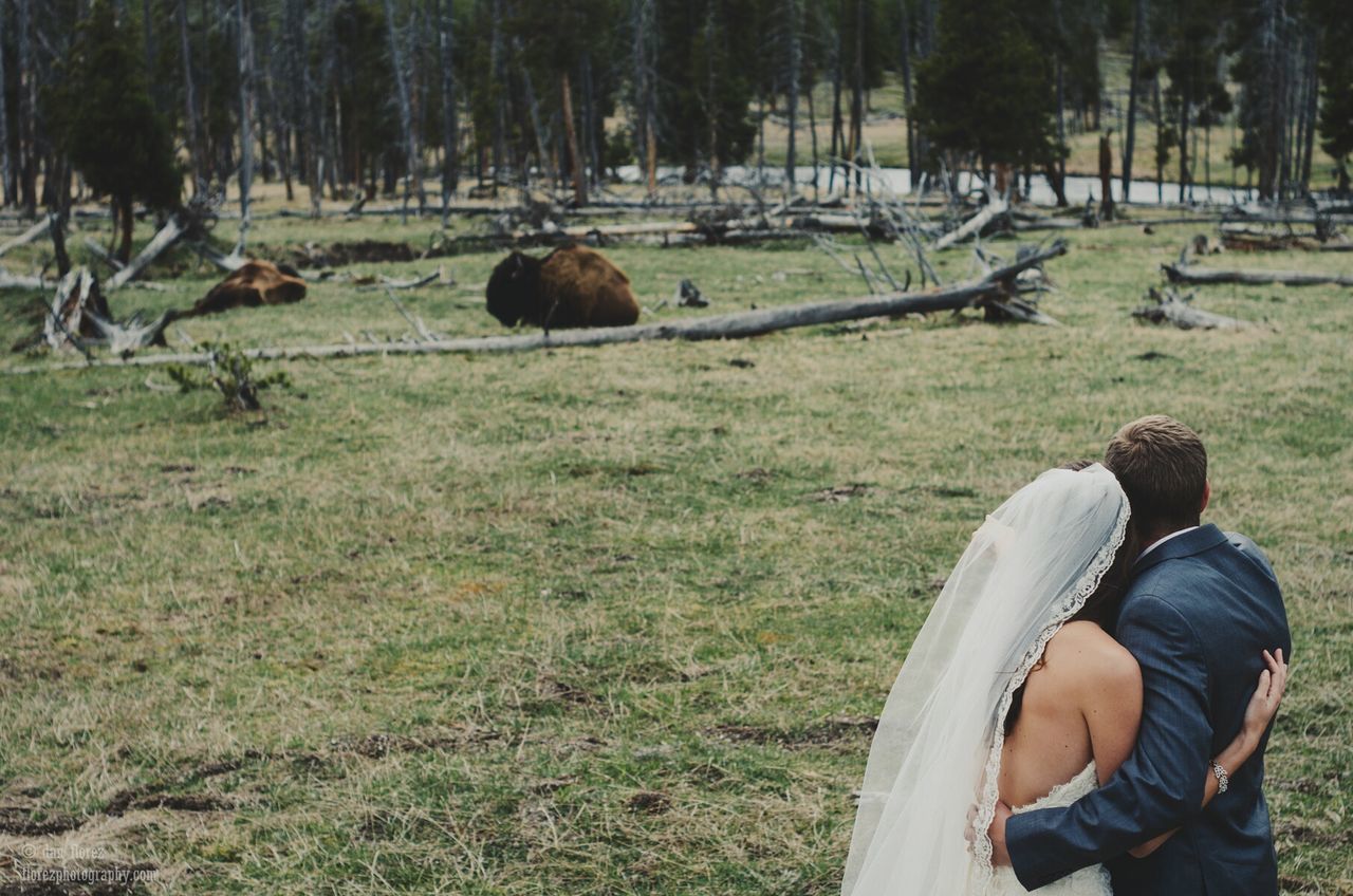 Newlywed couple looking at buffalo