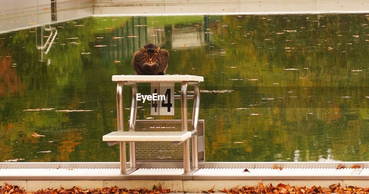 REAR VIEW OF A BOY IN WATER