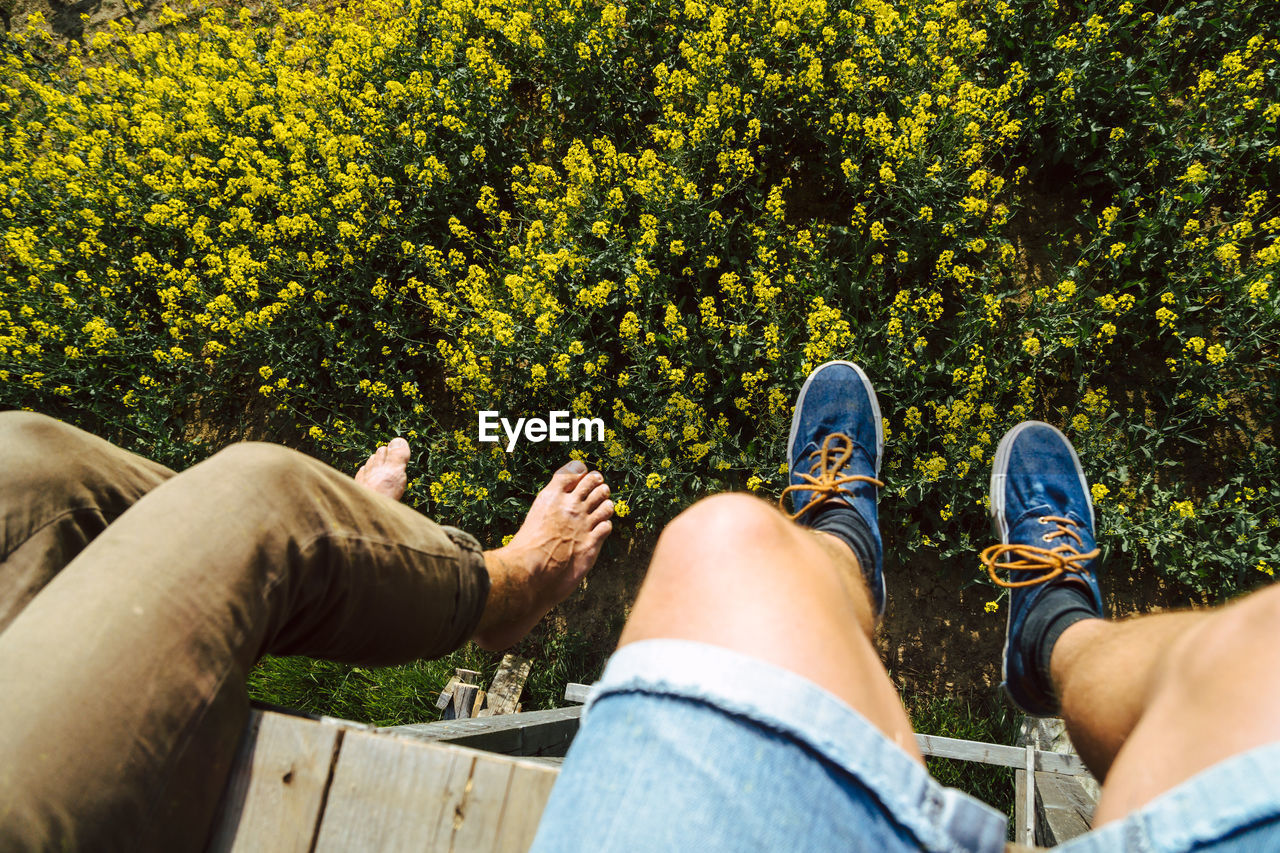 Low section of friends sitting at lookout tower over rapeseed field