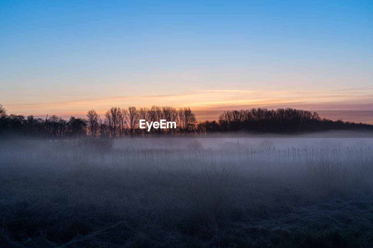sky, sunrise, plant, dawn, tree, scenics - nature, beauty in nature, morning, tranquility, mist, environment, tranquil scene, fog, landscape, nature, no people, land, forest, non-urban scene, reflection, twilight, cloud, water, idyllic, sun, lake, blue, horizon, woodland, grass, winter, outdoors, cold temperature, copy space, rural scene, sunlight, field, orange color, autumn, silhouette