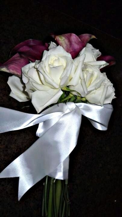 CLOSE-UP OF WHITE ROSE OVER BLACK BACKGROUND