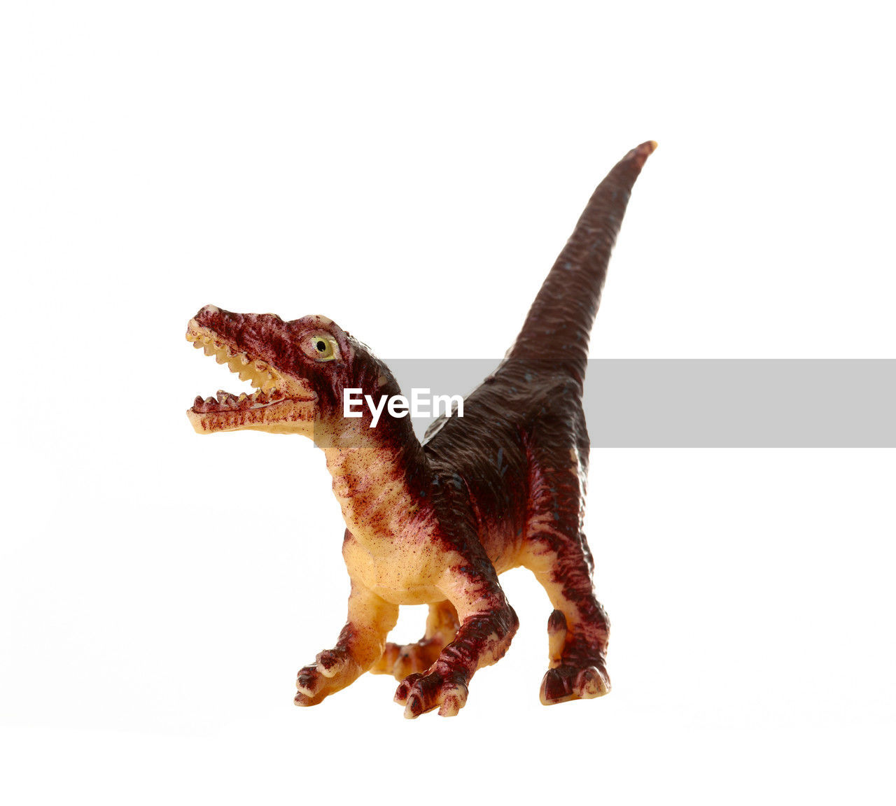 animal, animal themes, dinosaur, one animal, velociraptor, animal figure, white background, animal wildlife, extinct, cut out, no people, studio shot, animal body part, mammal, mouth open, animal representation, indoors, copy space, wildlife, anger