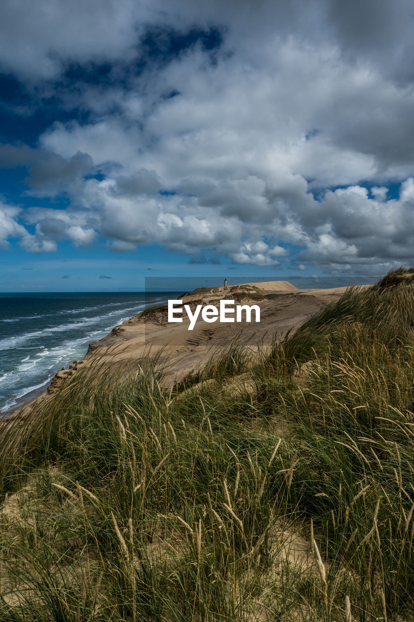 Danish westcoast, with rubjerg knude lighthouse in horizon