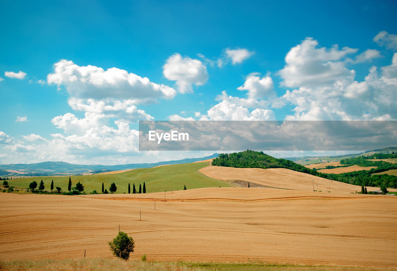 Scenic view of farm against sky