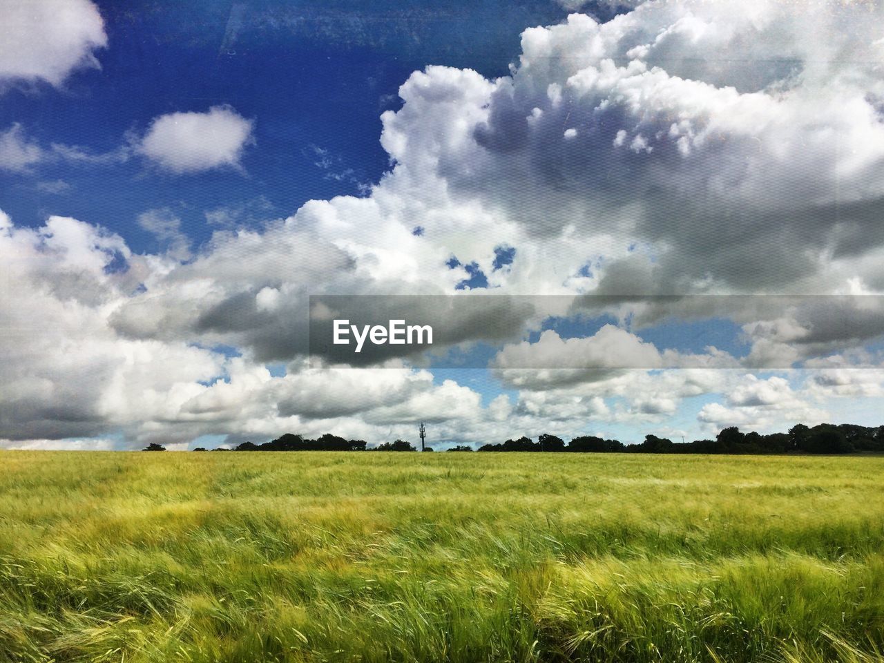 Scenic view of grassy field against cloudy sky