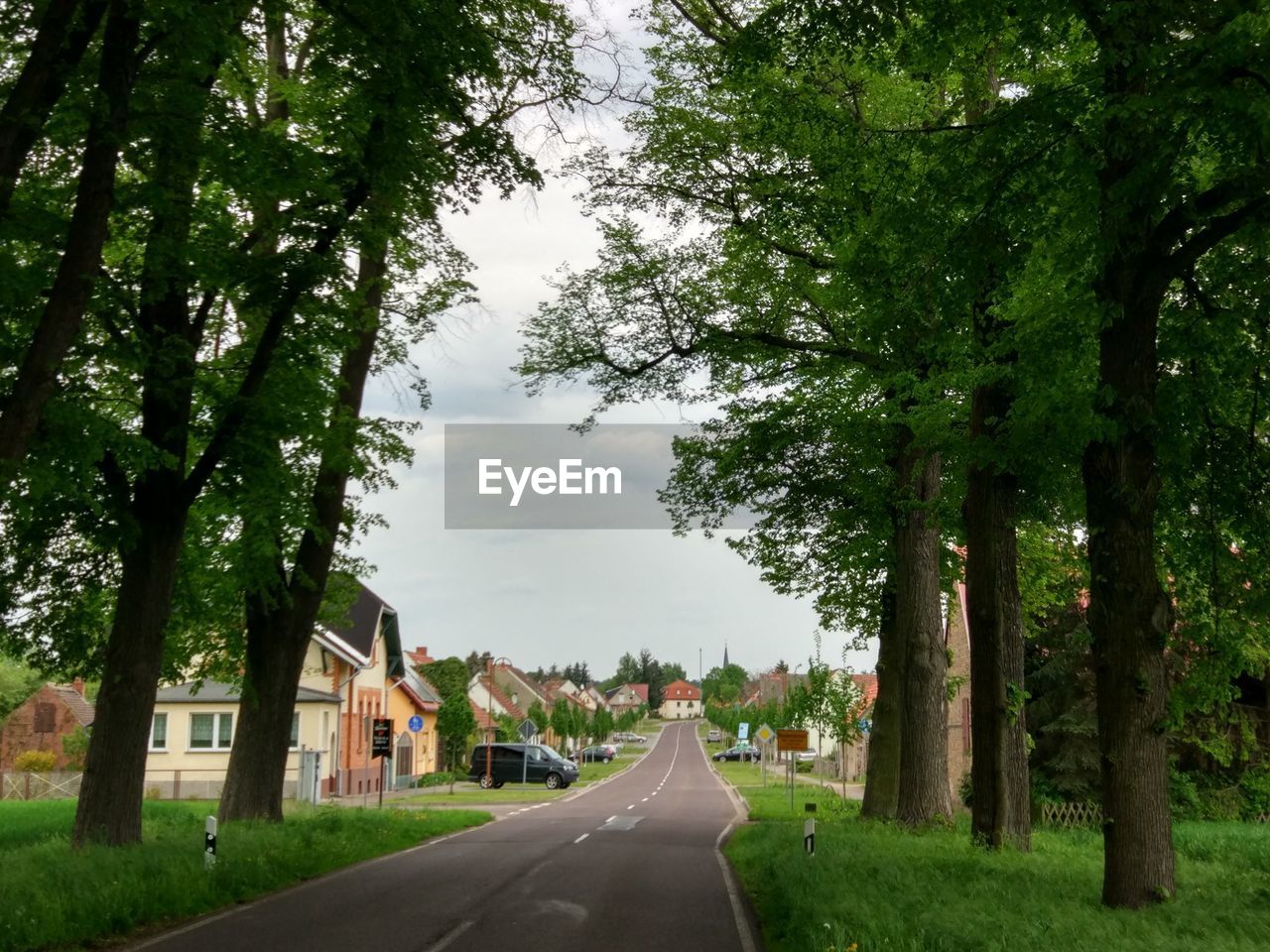 Road amidst trees against sky