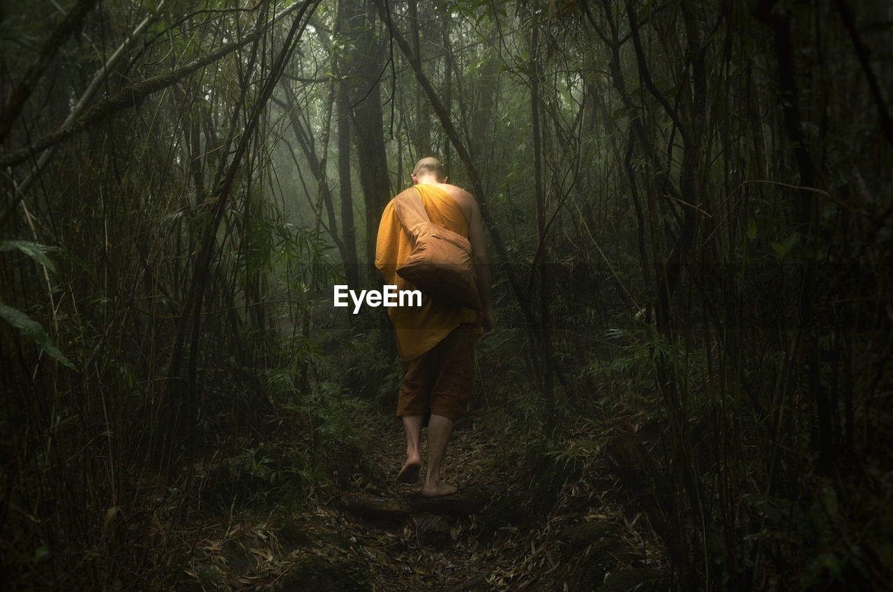 Rear view of monk wearing traditional clothing walking in forest