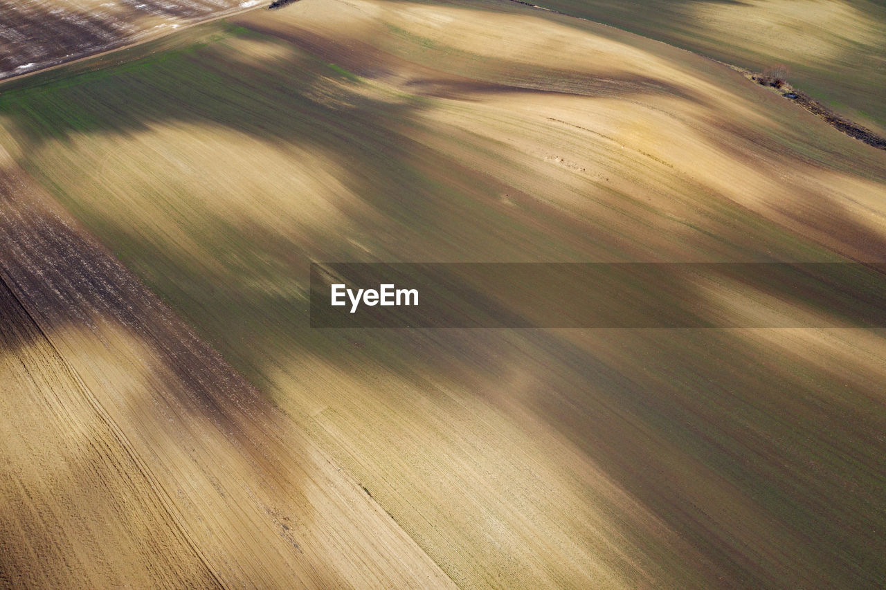 High angle view of agricultural field