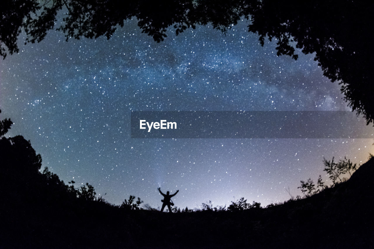 Low angle view of silhouette trees against sky at night