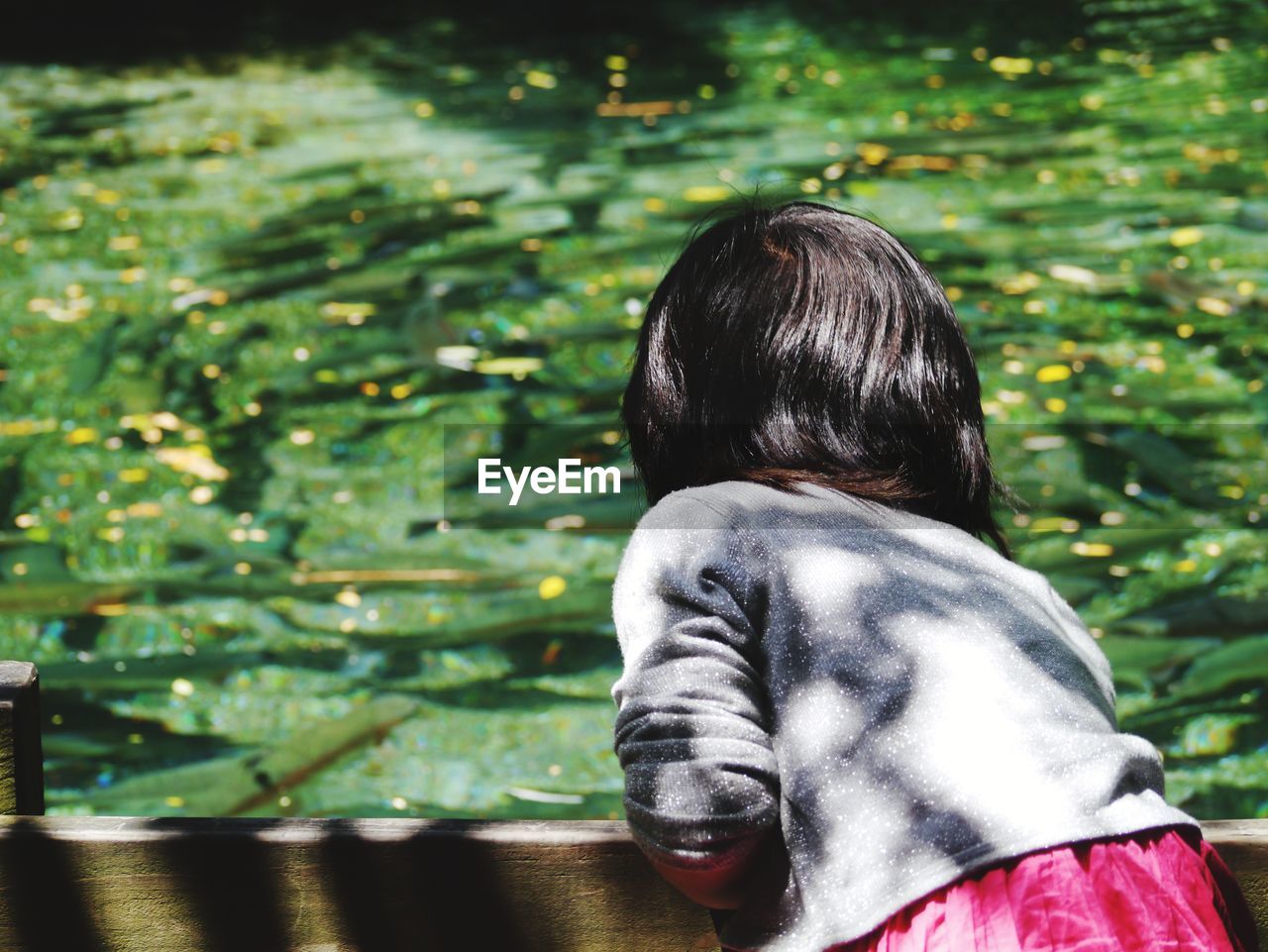 Rear view of girl looking at water lilies