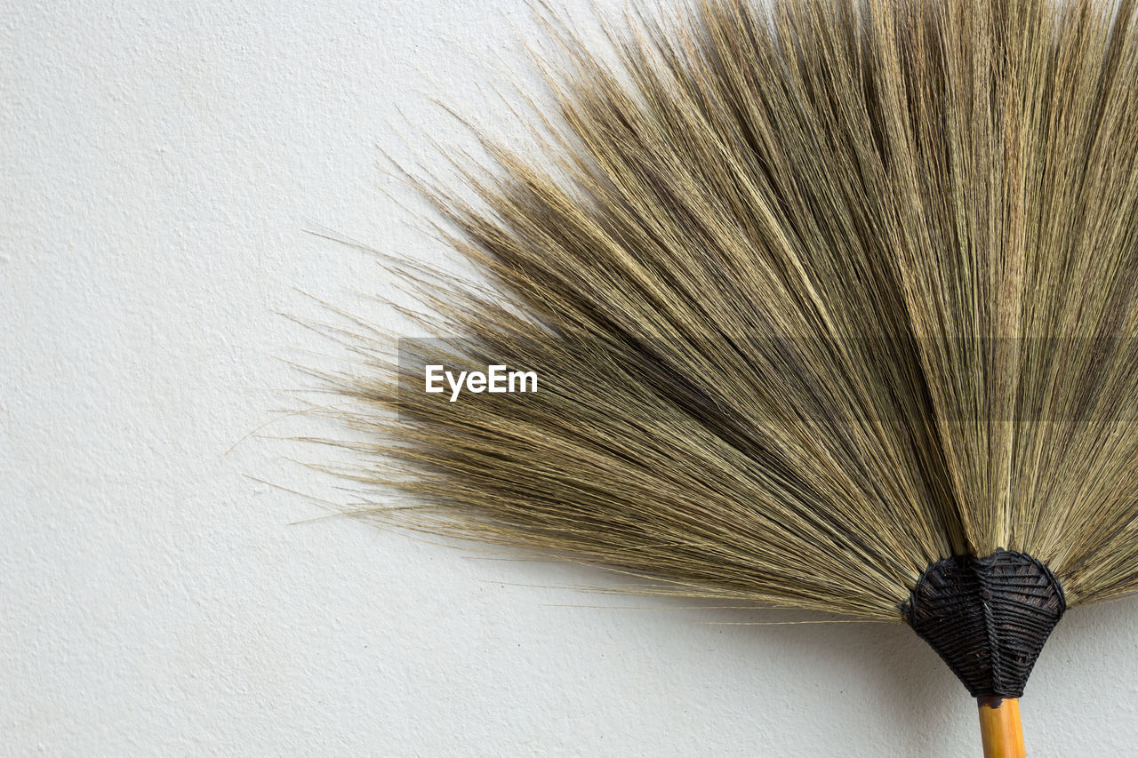Close-up of broom against white background
