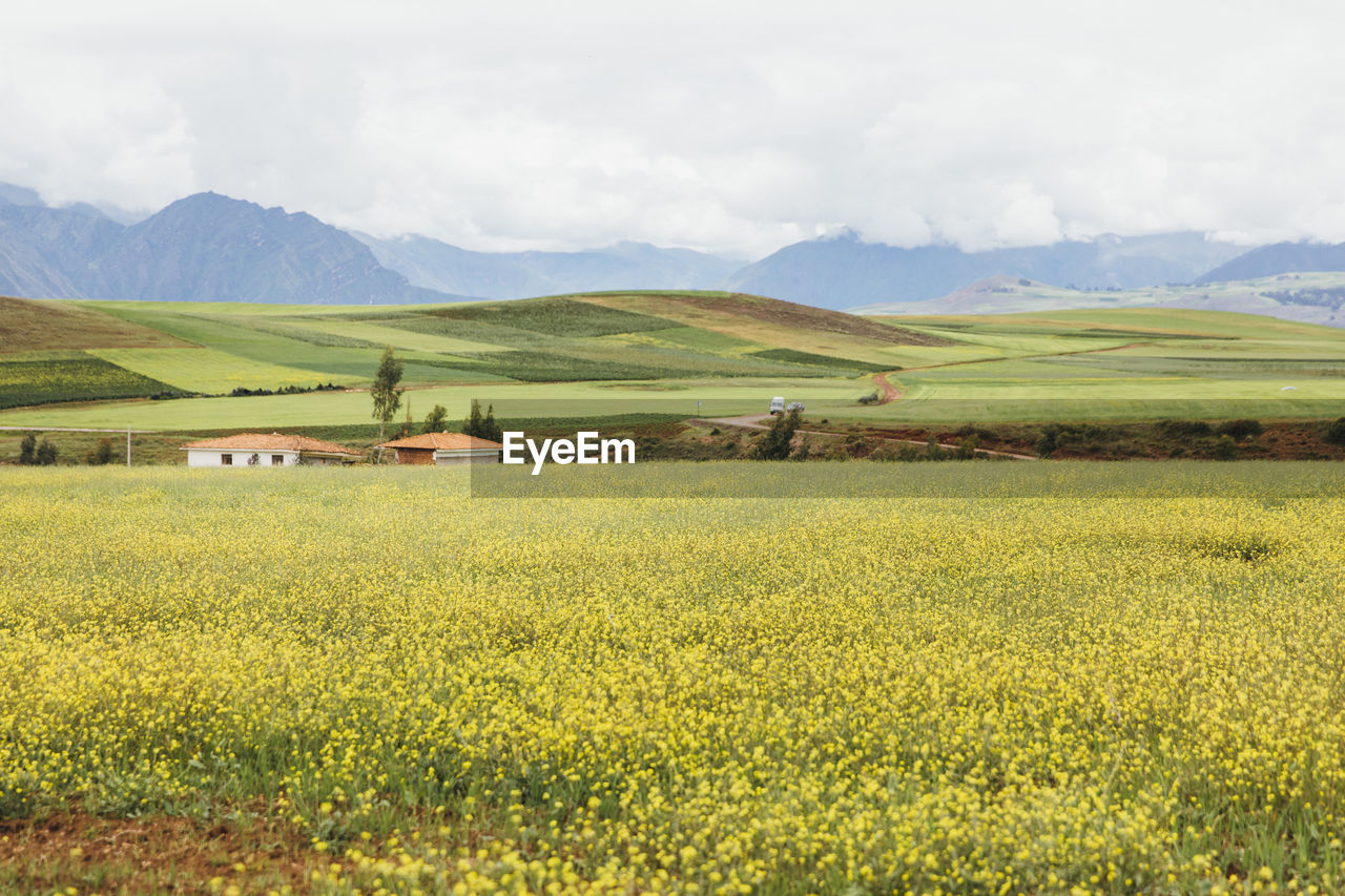 A green valley with the mountains on a background in peru