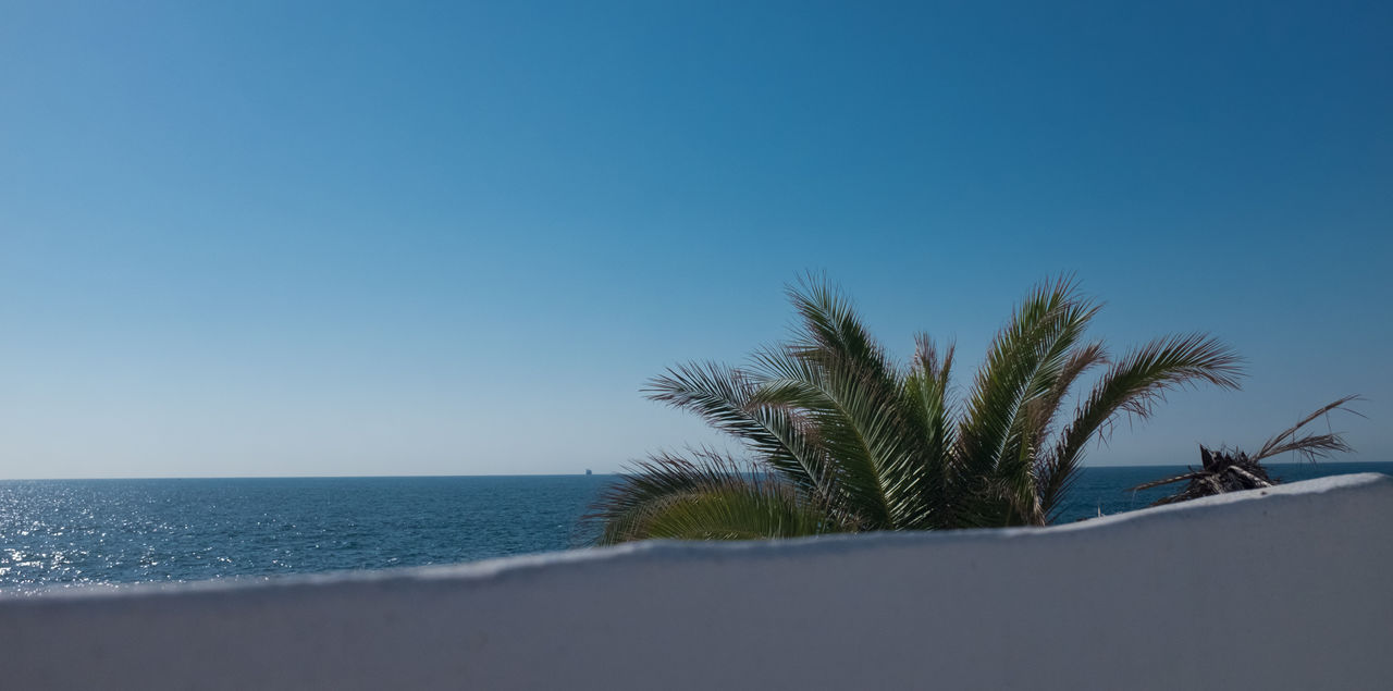 SCENIC VIEW OF BEACH AGAINST CLEAR BLUE SKY